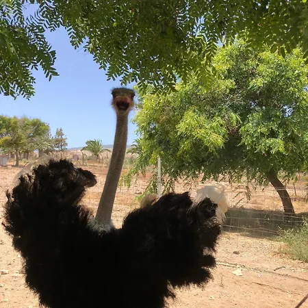 Farm stay Finca Avestruz