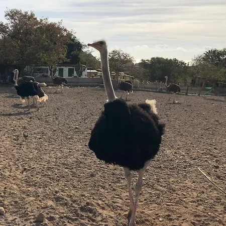 Finca Avestruz 圣伊西德罗